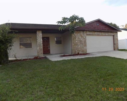 2248 Viento Street, Orlando