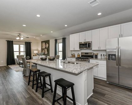 25467 Blue Mistflower, Montgomery