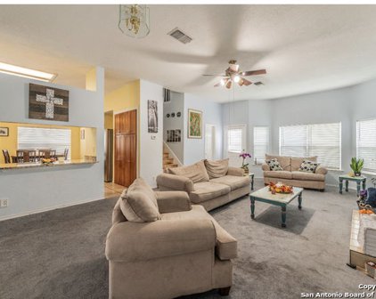 17011 Vista Park Dr, San Antonio