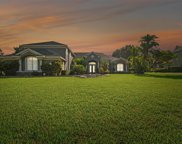 6046 Audubon Manor Boulevard, Lithia image