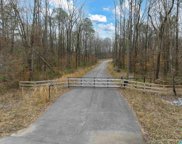 Lot 1 Bent Tree Lane Unit 1, Indian Springs Village image