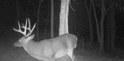 1350 Globe Rd, Lewisburg