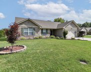 11120 Blue Spring Court, Indianapolis image