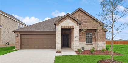1571 Gentle Night  Drive, Forney