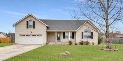 568 Indian Springs Cir, Manchester