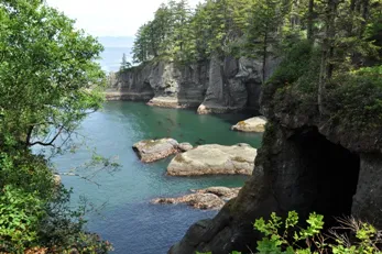 cape flattery trail