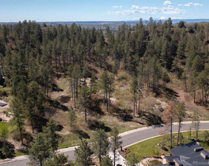 1993 Avenida Del Sol, Castle Rock