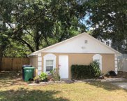 8710 N Tangerine Place, Tampa image
