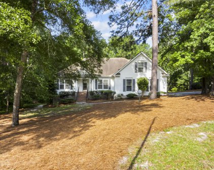 369  Old Thicket Place, Aiken
