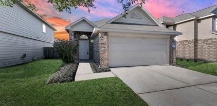 2723 Shearwater Bend Drive, Humble