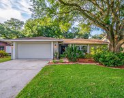 17514 Willow Pond Drive, Lutz image