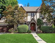 219 Nassau Boulevard, Garden City image