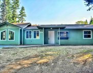 195 Turnagain Drive, Selma image