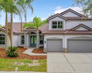 10218 Garden Alcove Drive, Tampa image