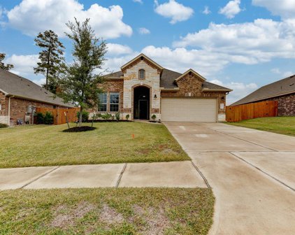 14322 Sawtooth Forest Court, Conroe