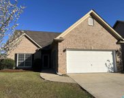 6009 Forest Lakes Cove, Sterrett image