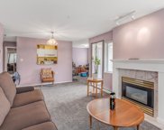 55 Blackberry Drive Unit 302, New Westminster image