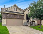 17811 Oxford Mt, Helotes image