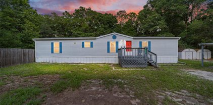 18551 Sw 31st Street, Dunnellon