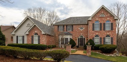 17115 Surrey View  Drive, Chesterfield