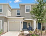 7008 Summer Holly Place, Riverview image