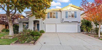 10153 Jenny Lynn Way, Elk Grove
