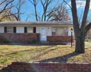 194 Elbring  Drive, St Louis image