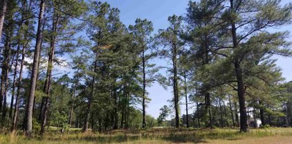411 Charleston Oak Dr., Loris