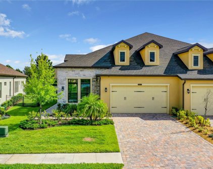 4353 Barletta Court, Wesley Chapel