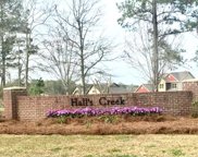 118 Halls Creek Lane, Dothan image