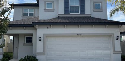 16005 Sonoma Grove Circle, Tampa