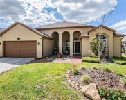 11714 Carrollwood Cove Drive, Tampa image