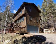 31438 Kings valley west, Conifer image