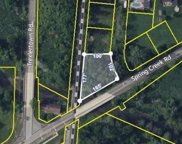 7699 Catalpa, Lower Macungie Township image