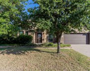 2309 Frosted Willow  Lane, Fort Worth image