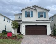 1789 Petiole Place, Kissimmee image
