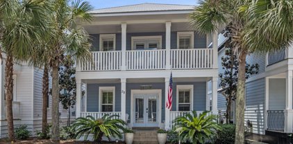 59 W W Endless Summer Way, Inlet Beach