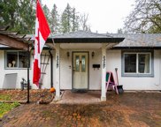 23287 Dogwood Avenue, Maple Ridge image
