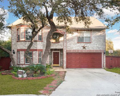 10906 Bristle Oak Dr, San Antonio