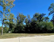 2017 Lily  Avenue, Kirkwood image