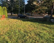 10721 157 Street, Surrey image
