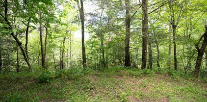 106 Tiger Lily Trail, Beech Mountain