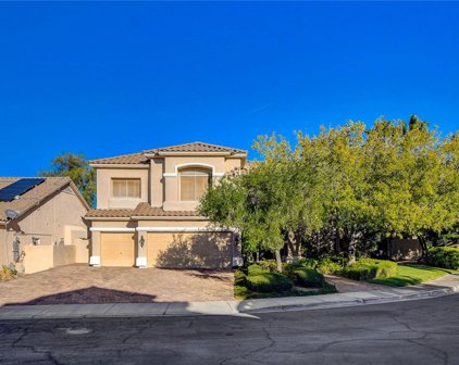 82 Lost Mountain Court, Henderson
