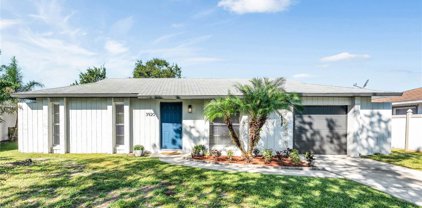 3920 Wingward Avenue, Orlando