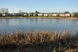 reserve at covington