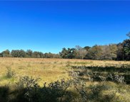 TBD Hwy 1206  Highway, Deville image