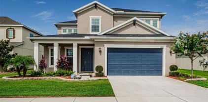 4847 Butler National Drive, Wesley Chapel