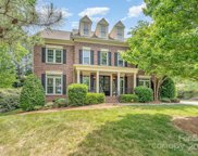 8513 Ulster  Court, Fort Mill image