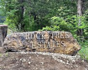 18001 Rock Tree  Drive, Pacific image