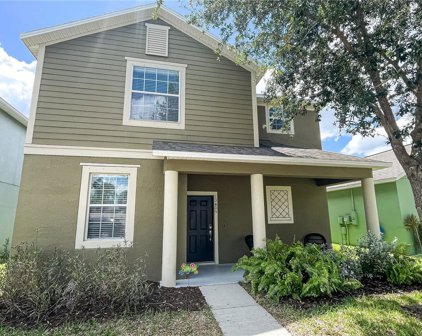 13405 Lake Monroe Place, Riverview